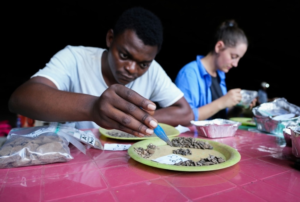 Gabon forest cave reveals clues about prehistoric central Africa