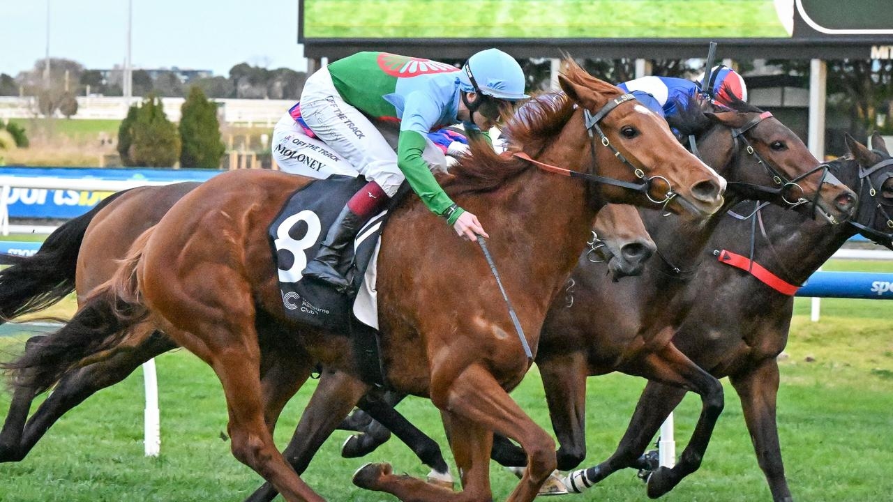 Fred Kersley keen to deliver another Winter Championship Final for trainer Lindsey Smith on Yellow Sam