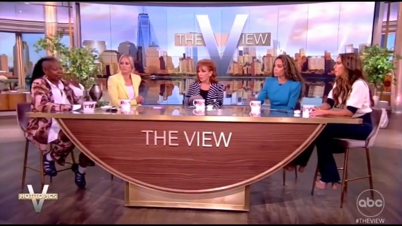 ‘Too far left': Disney boss urges The View hosts to cool off political chatter