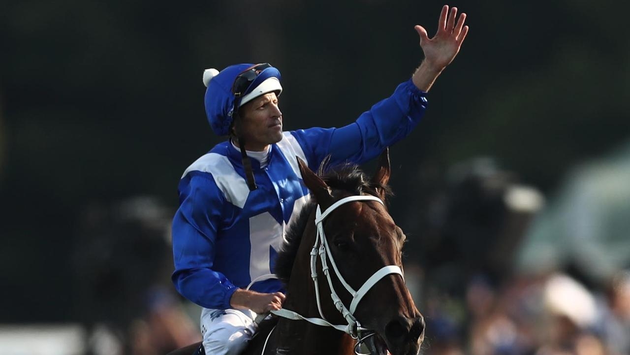 Champion mare Winx to visit Darley sire Too Darn Hot in spring breeding season