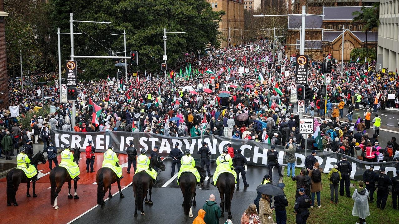 Level of concern for Palestine is ‘rising, not falling' in Australia