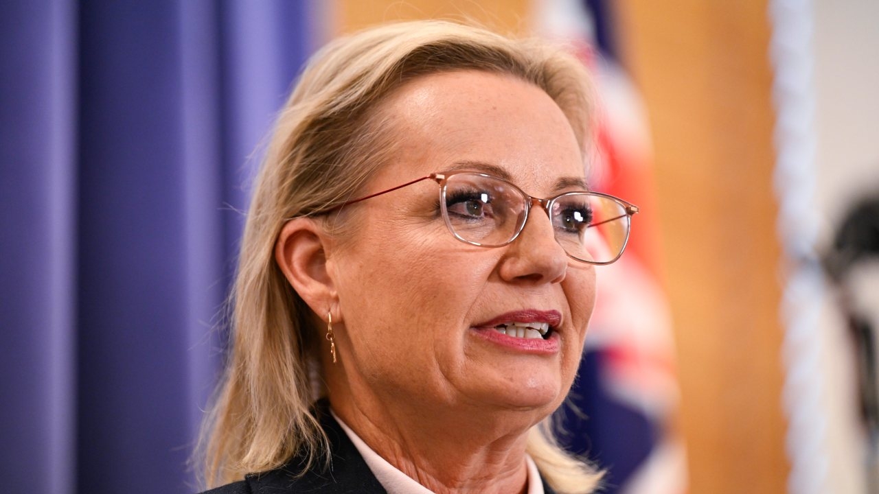 'We are concerned': Opposition Leader Sussan Ley calls on Prime Minister Anthony Albanese to meet with Donald Trump at earliest opportunity amid AUKUS crisis