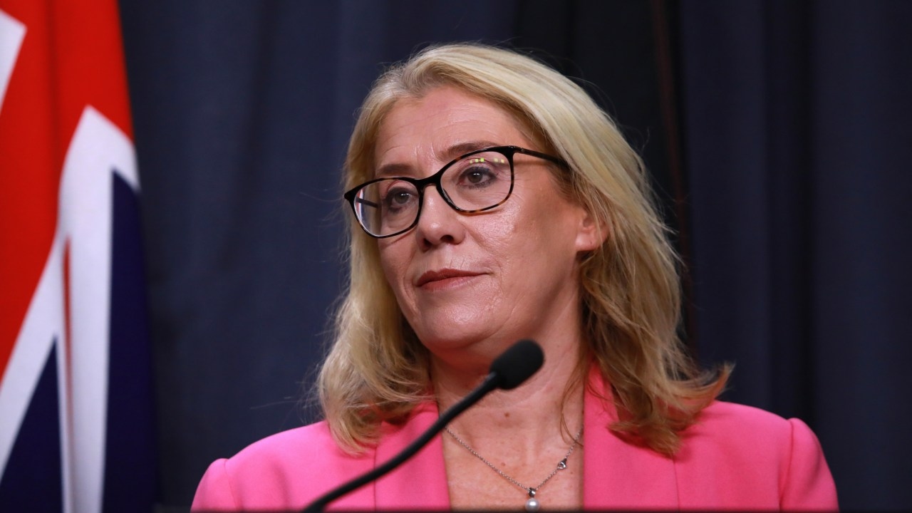 WA Transport Minister Rita Saffioti blames Covid-19, Russian President Vladimir Putin for botched contactless payment upgrades