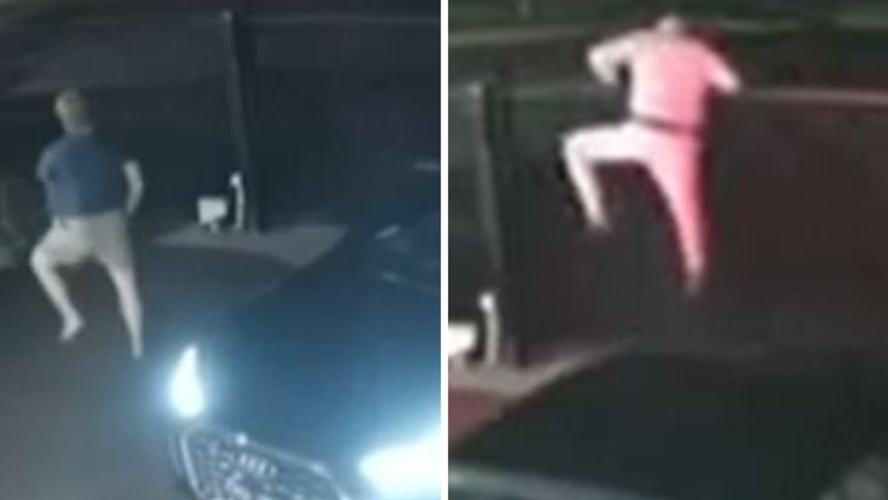 ‘I will kill you': Bizarre way man scared off would-be thieves from allegedly stealing luxury vehicle