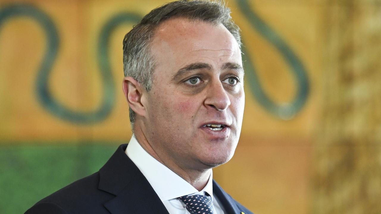 Liberal Goldstein MP Tim Wilson says more consultation needed with small business on penalty rate ban