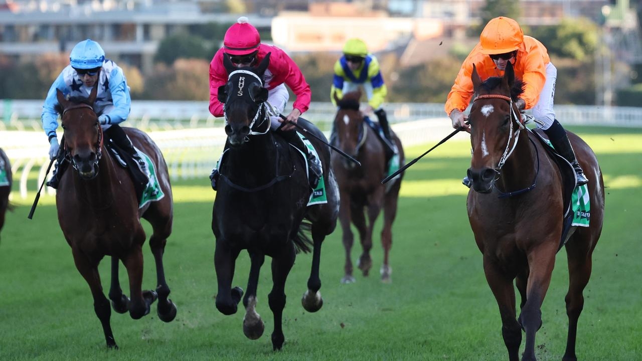 Co-trainer Michael Hawkes predicts a bright future for Spione after his stylish victory at Randwick