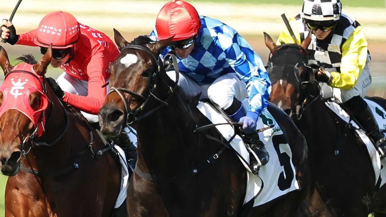 Rocks or Diamonds? Classy mare tests trainer David Pfieffer's patience