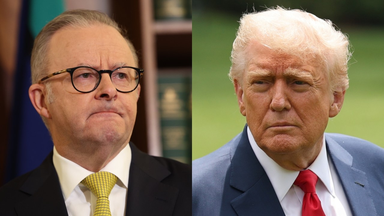 Pauline Hanson claims Prime Minister Anthony Albanese is avoiding Donald Trump after Zelensky's Oval Office ‘dressing down'