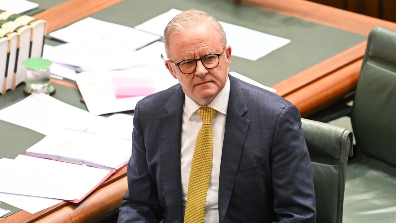 Albanese giving ‘encouragement' to Hamas with move to recognise Palestine