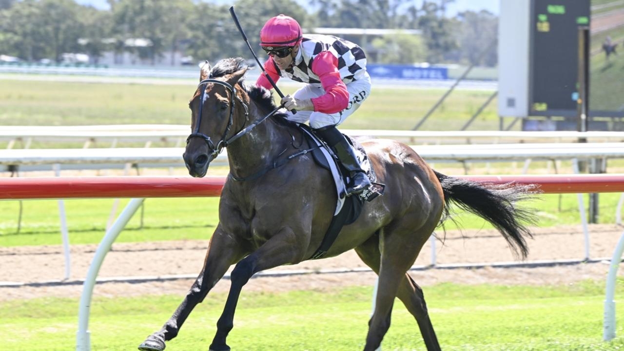 Wyong preview: Kristen Buchanan feels a more mature Shoutaboutit is ready to run a bold race at home