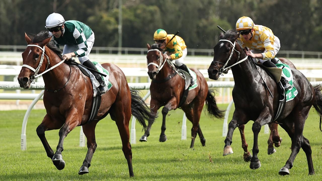 Higher Achievement on cards for Chris Waller colt after his Gosford win
