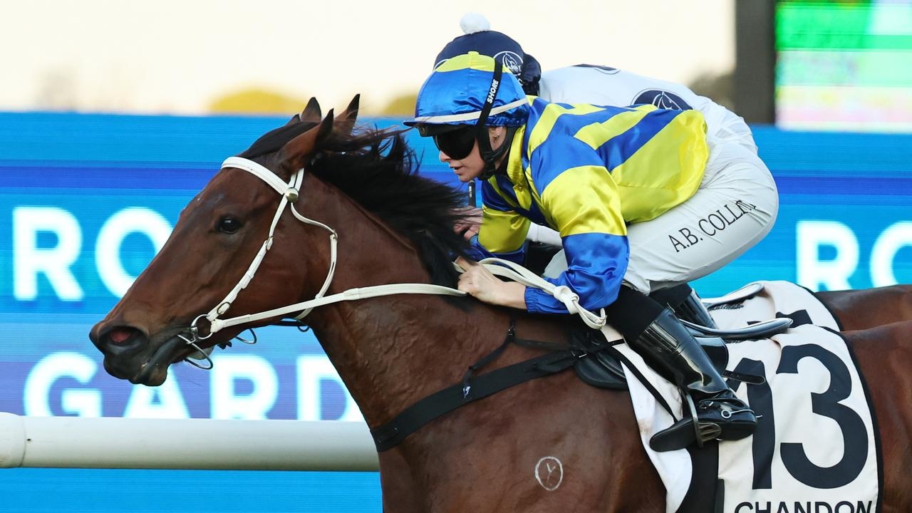 Trainer Blake Ryan is hopeful Lady Extreme can get some black type in the Ramornie Handicap