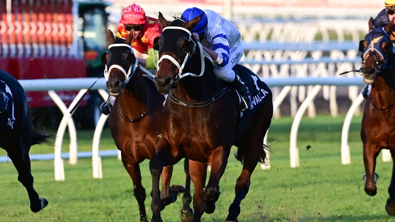 Owner Nev Morgan's unwavering belief in Kovalica pays off with a last stride victory in the Group 2 Q22 at Eagle Farm