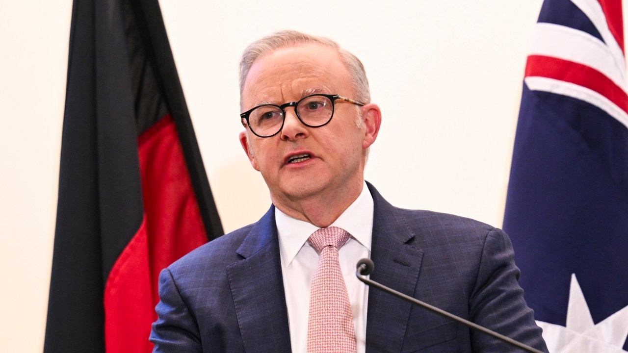 Labor Minister confirms Anthony Albanese attempting to make contact with Benjamin Netanyahu after massive pro-Palestine march