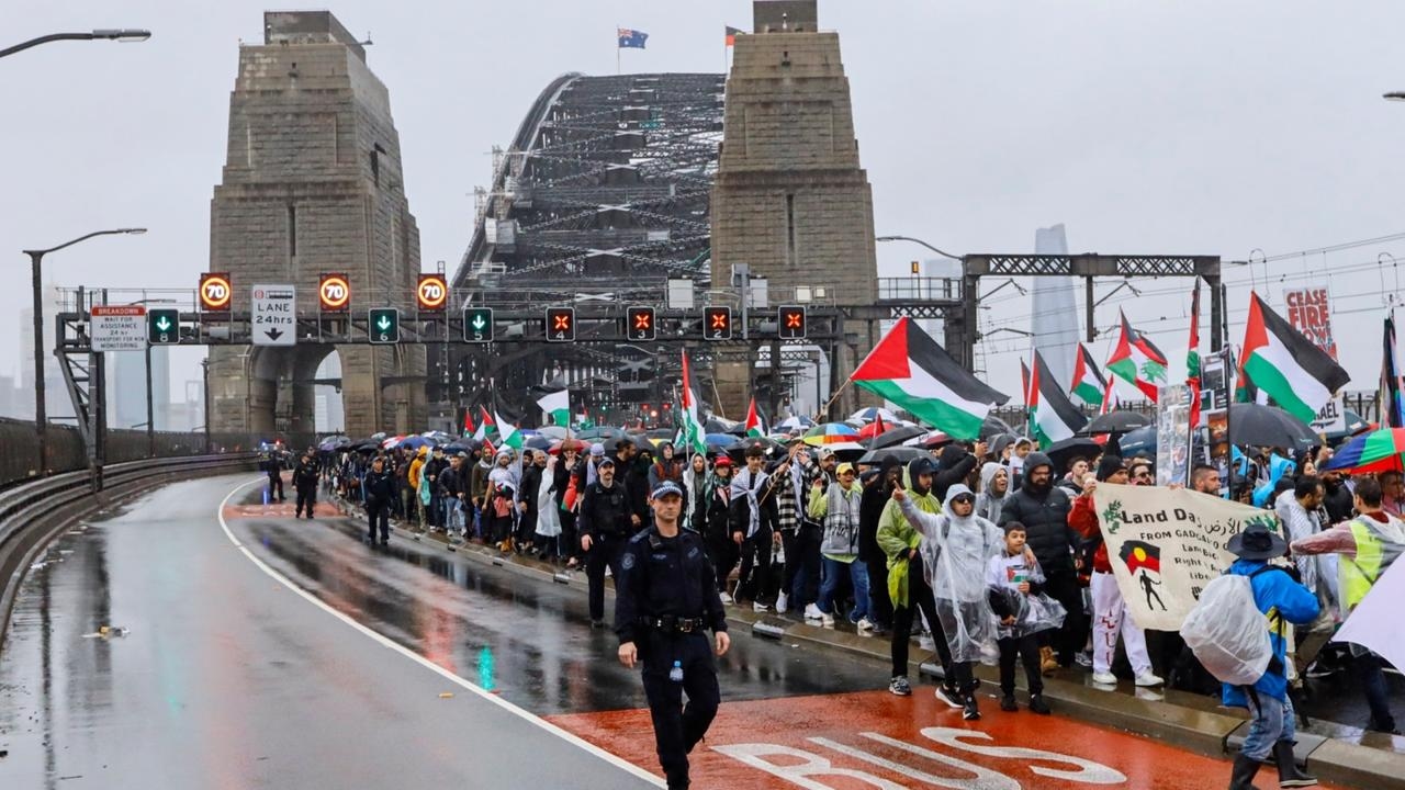 ‘Statement well-made and well heard': Tony Burke reacts to Harbour Bridge protest