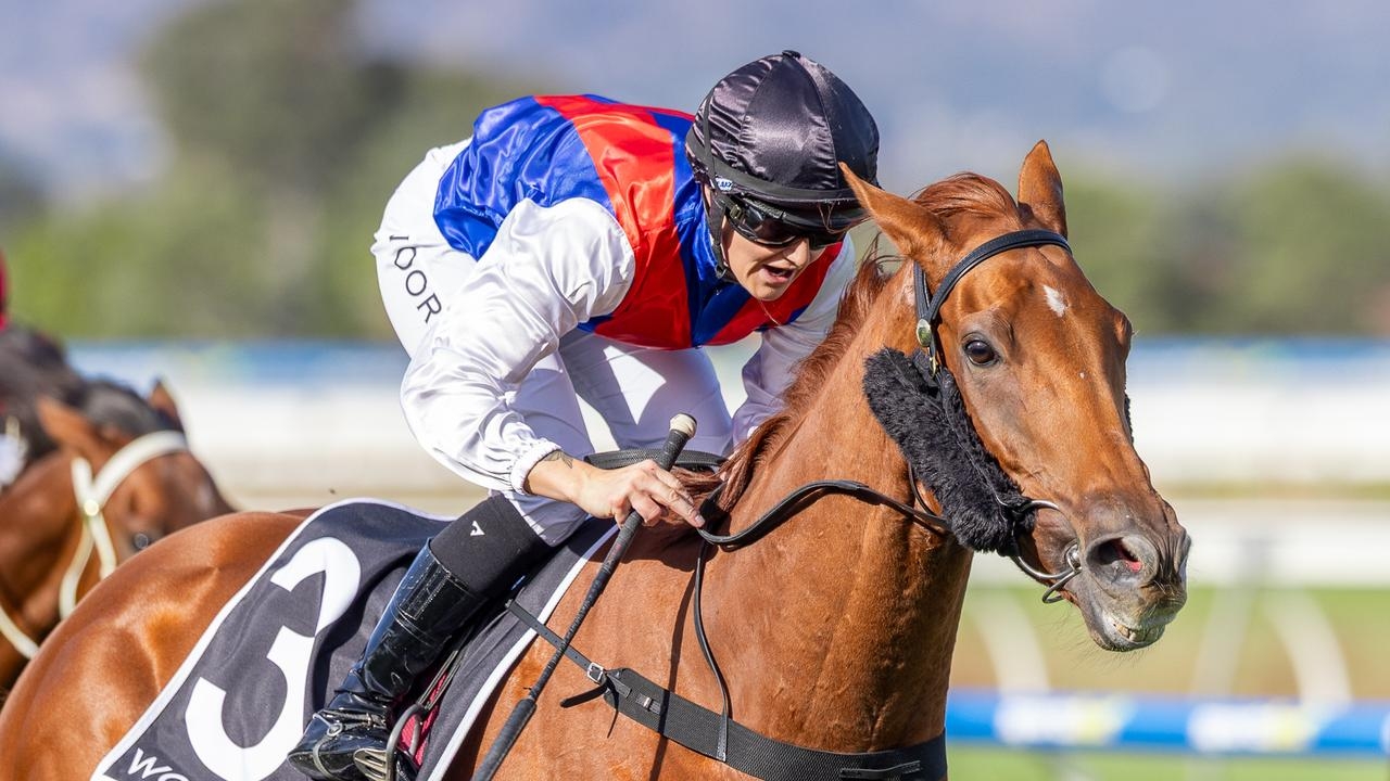 Sir Kingsford produces gutsy effort to win Port Adelaide Cup