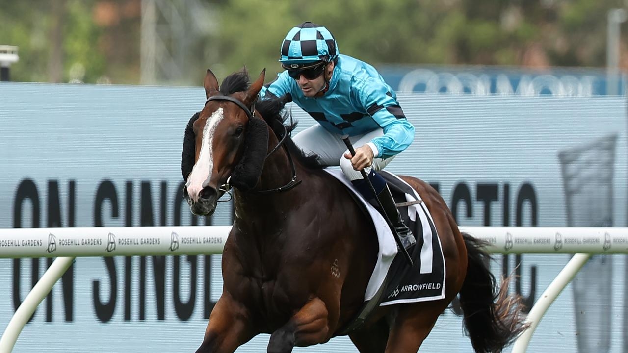Trainer Gerald Ryan rates spring colt as Blitzburg and Skyhook prepare for returns