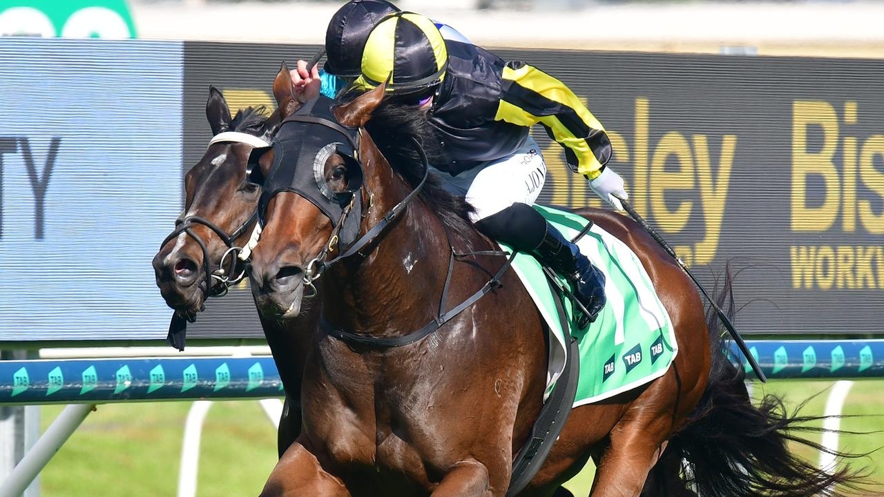 Tony Gollan mare Floozie primed to cap dream campaign in Group 1 Tatt's Tiara