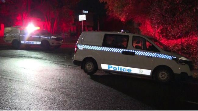 NSW Police searching for gunman after shots fired at man in Sydney's north before car set on fire