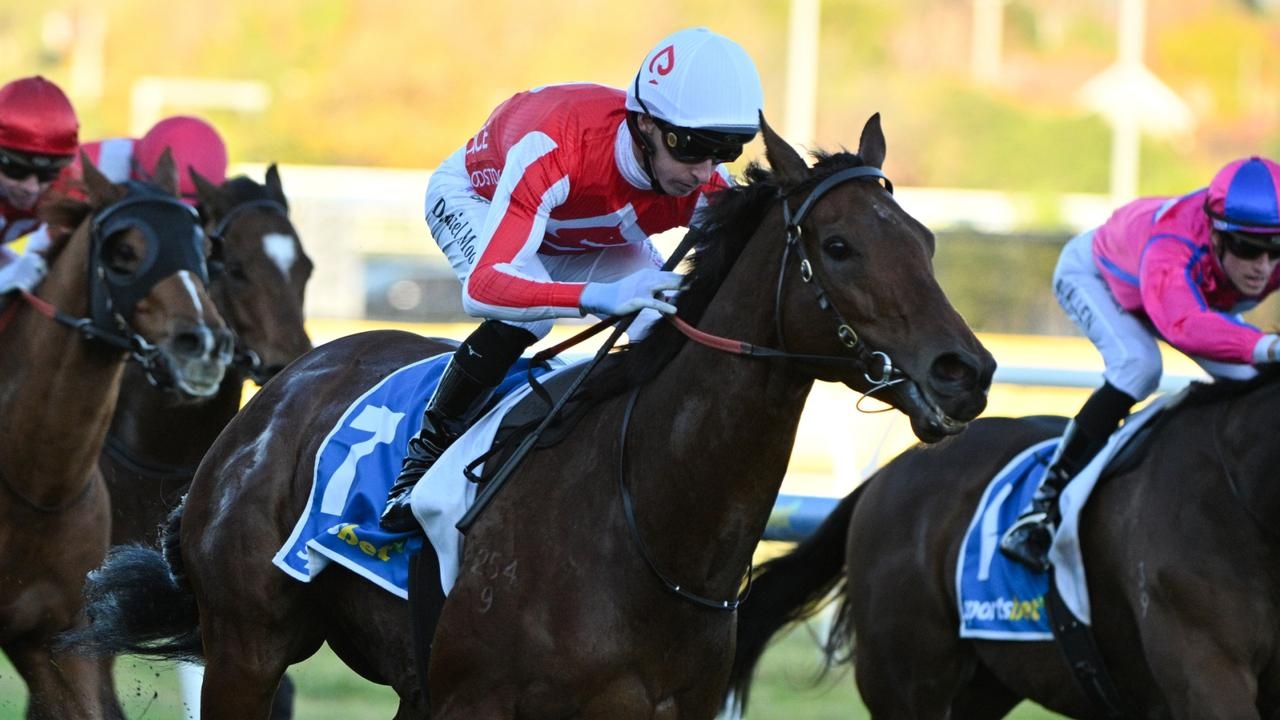 Niance returns with dominant win in Bel Esprit Stakes at Caulfield after recovering from mystery skull fracture