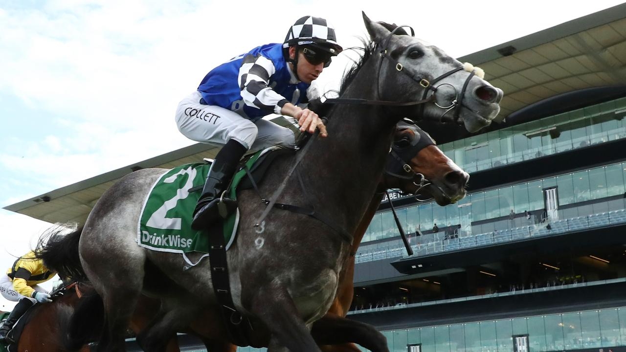 Annabel and Rob Archibald have hot hand in 2025 Winter Cup at Rosehill Gardens
