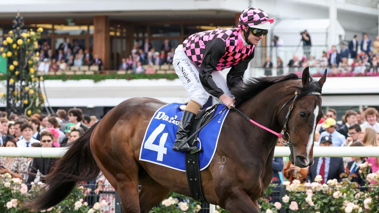 'One tough horse': Rothfire 'back in the game' for Stradbroke Handicap