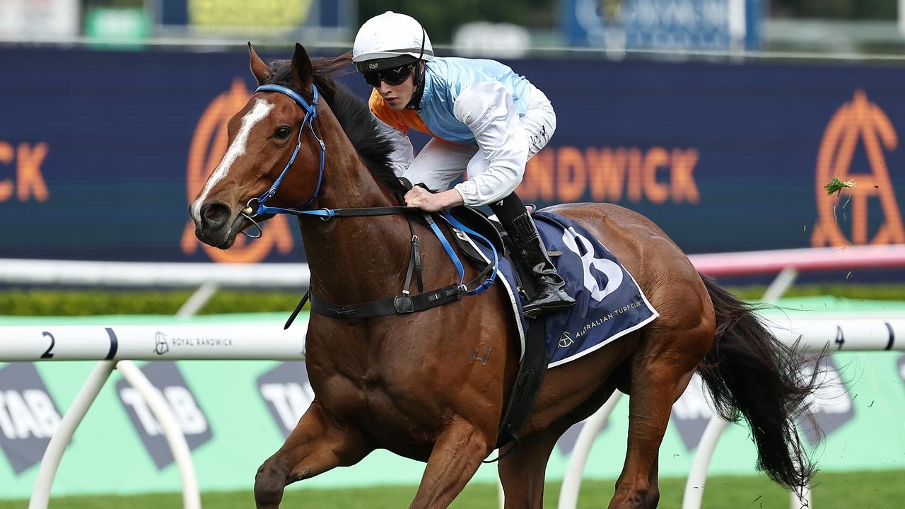 Randwick Turf Talk for Saturday: ‘I really can't believe the price'