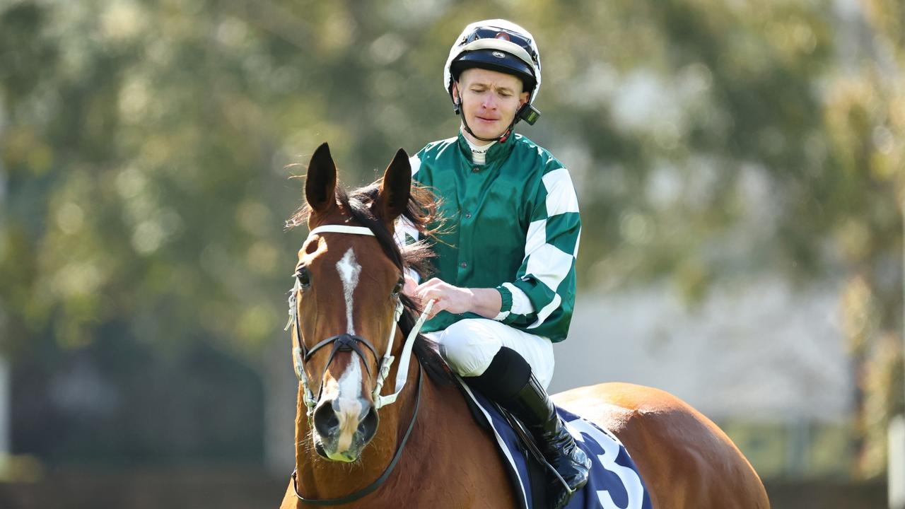 Via Sistina faces age-old question in 2025 Winx Stakes at Royal Randwick