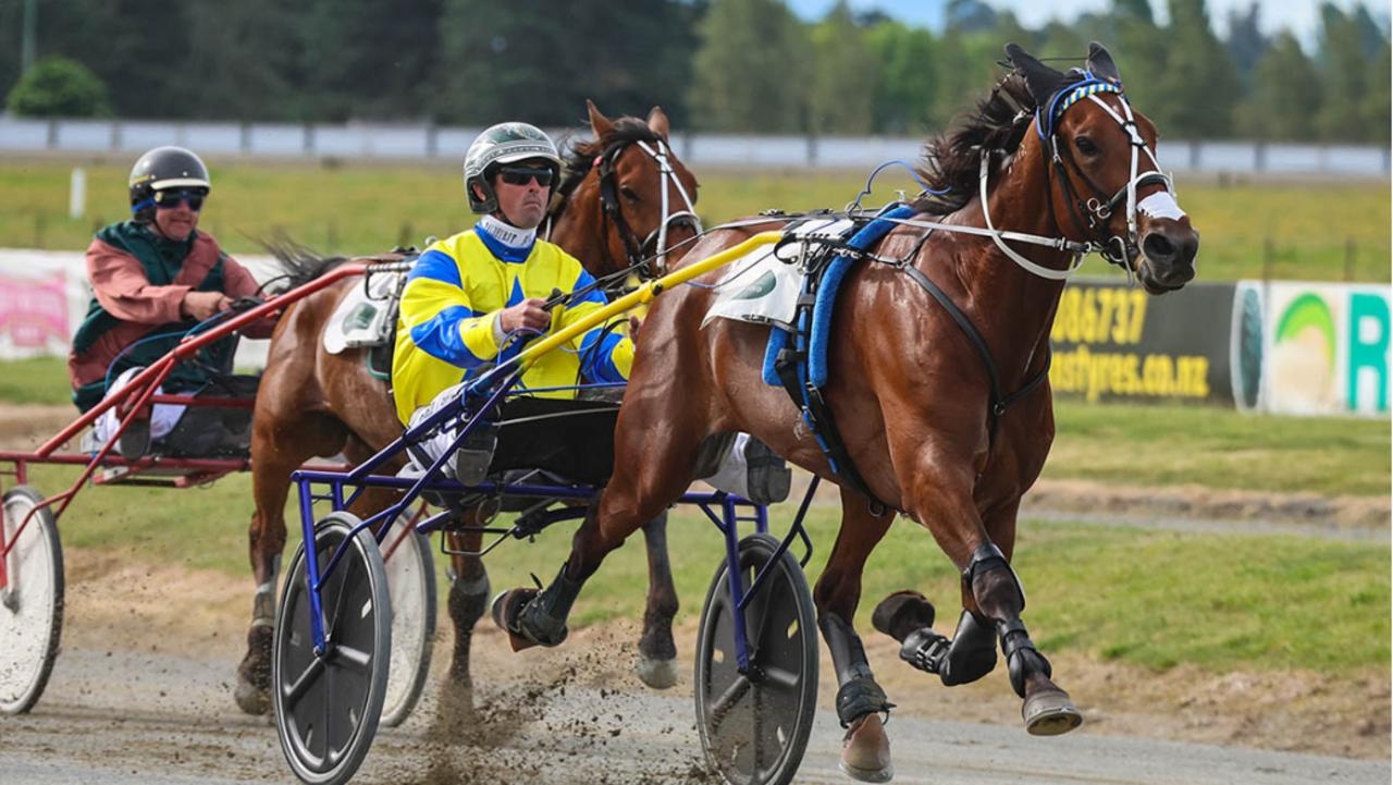 Kiwi trotters back in force for 2025 Inter Dominion harness racing series