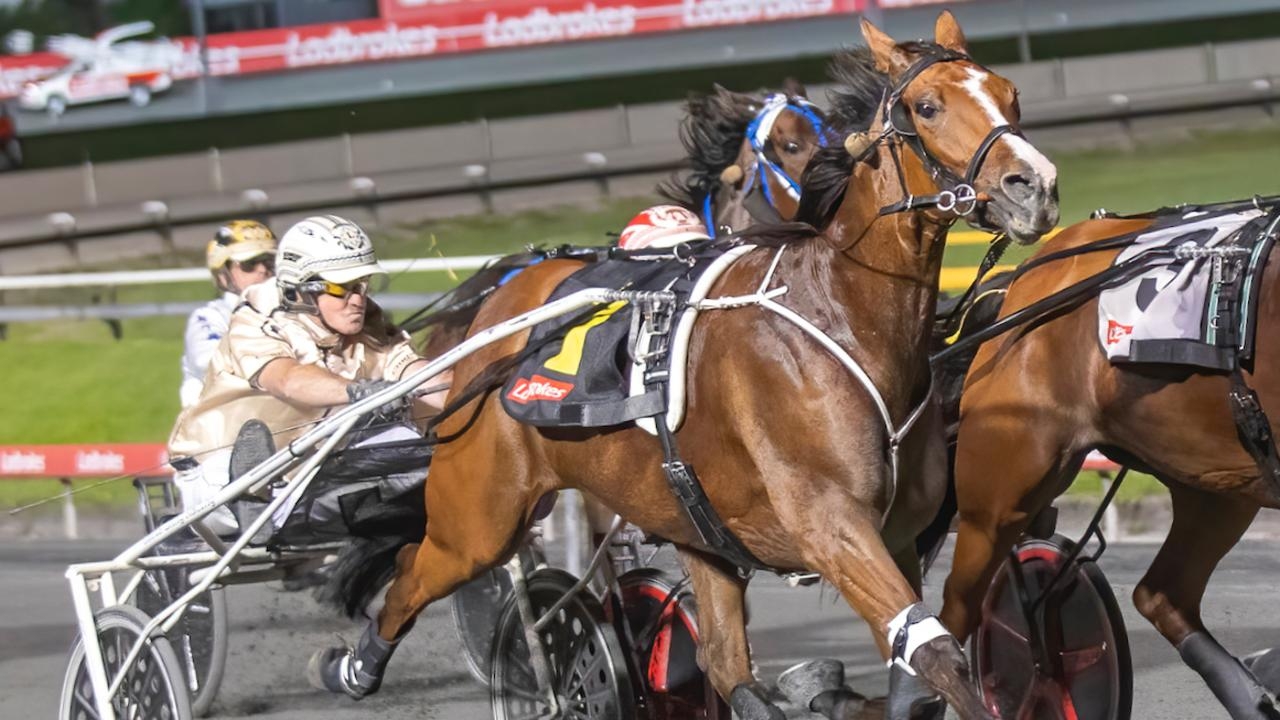 Harness racing: Chris Lang welcomes return of stable star Ollivici after officially becoming a legend