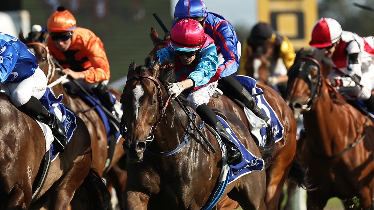 Trainer Matt Smith already eyeing The Everest for star sprinter Headwall as he prepares for The Quokka