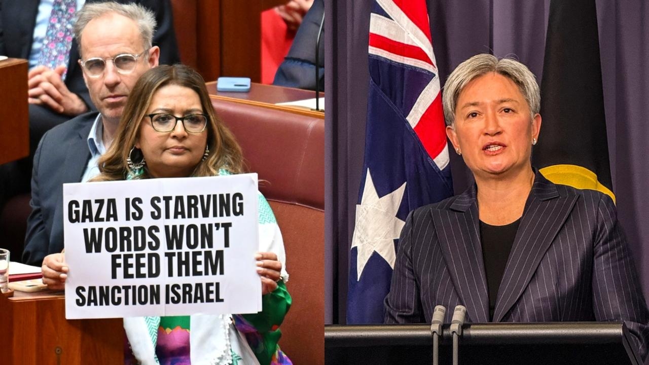 ‘They think laws don't apply to them': Wong slammed for not suspending Mehreen Faruqi