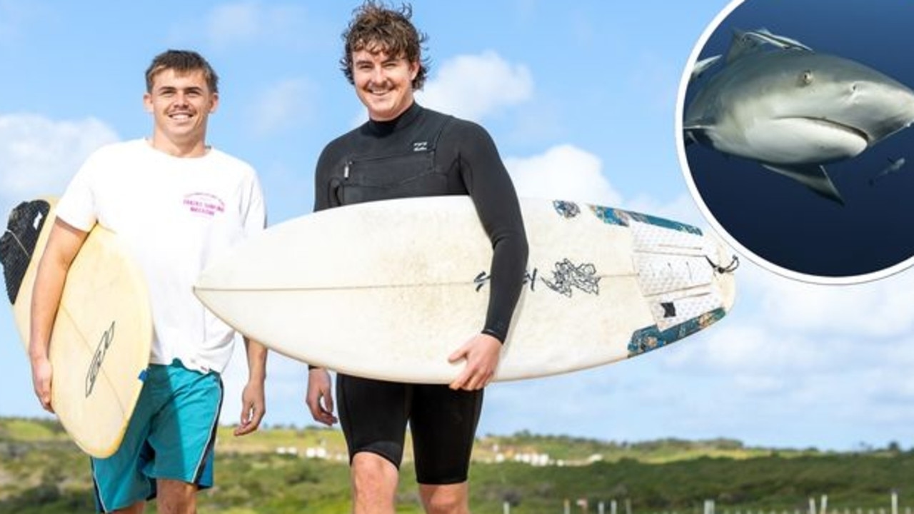 Revealed: Which Sydney beaches could lose shark nets this summer