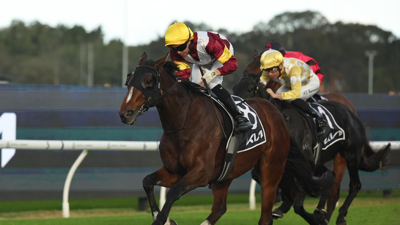 Jockey Andrew Adkins' strategic shift yields stakes success in Lord Mayor's Cup at Rosehill Gardens
