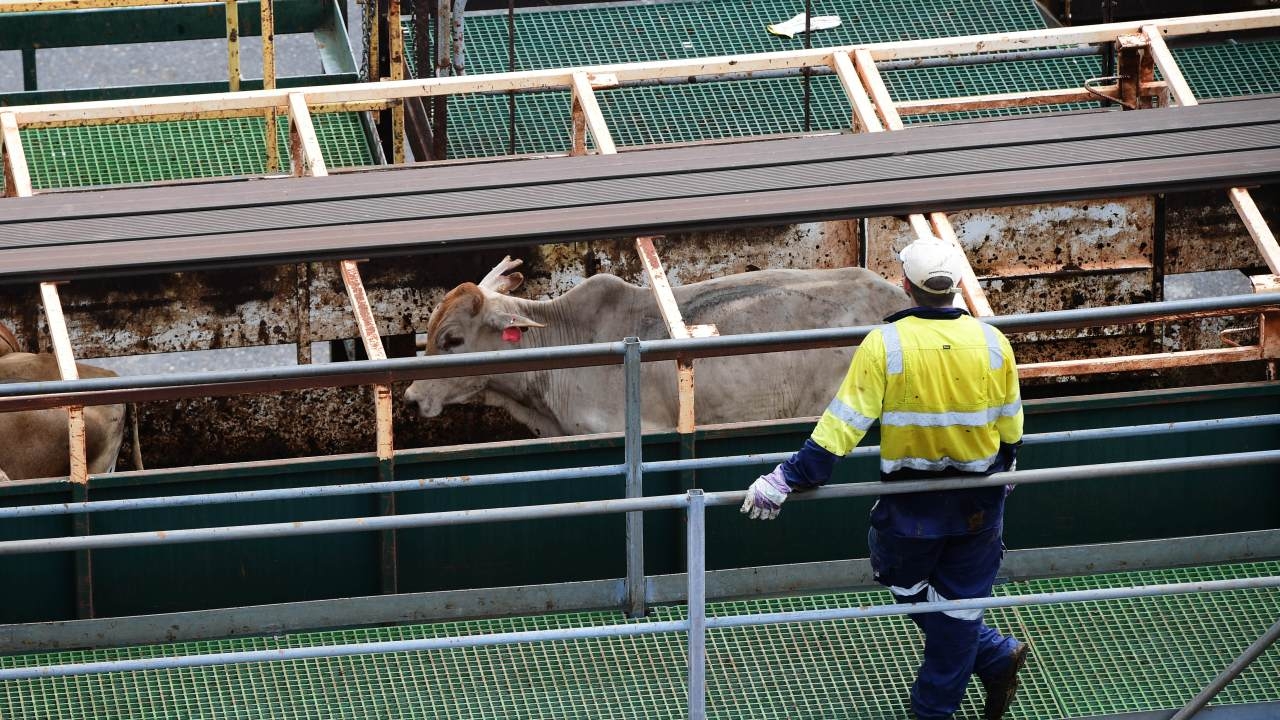 NT cattlemen dealt blow in compensation push over Gillard government live export ban after judge shoots down $600 million claim