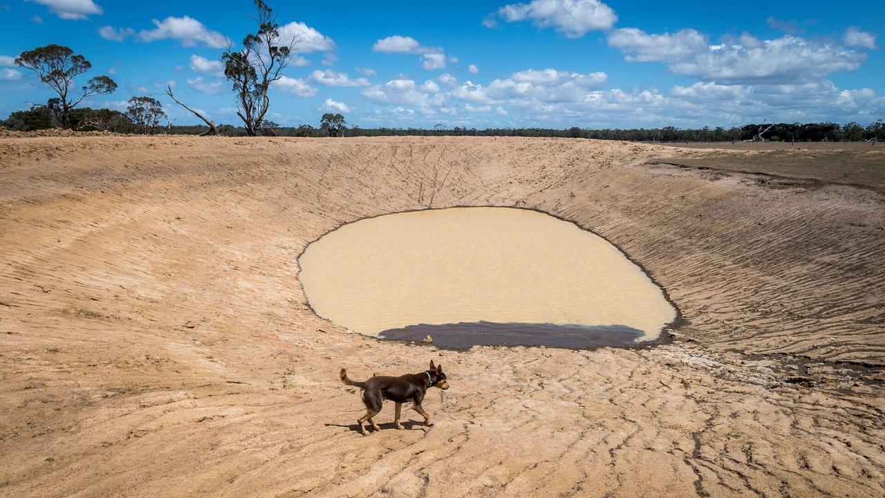 Land tax is the ‘last straw' for Victorian farmers as drought batters crops
