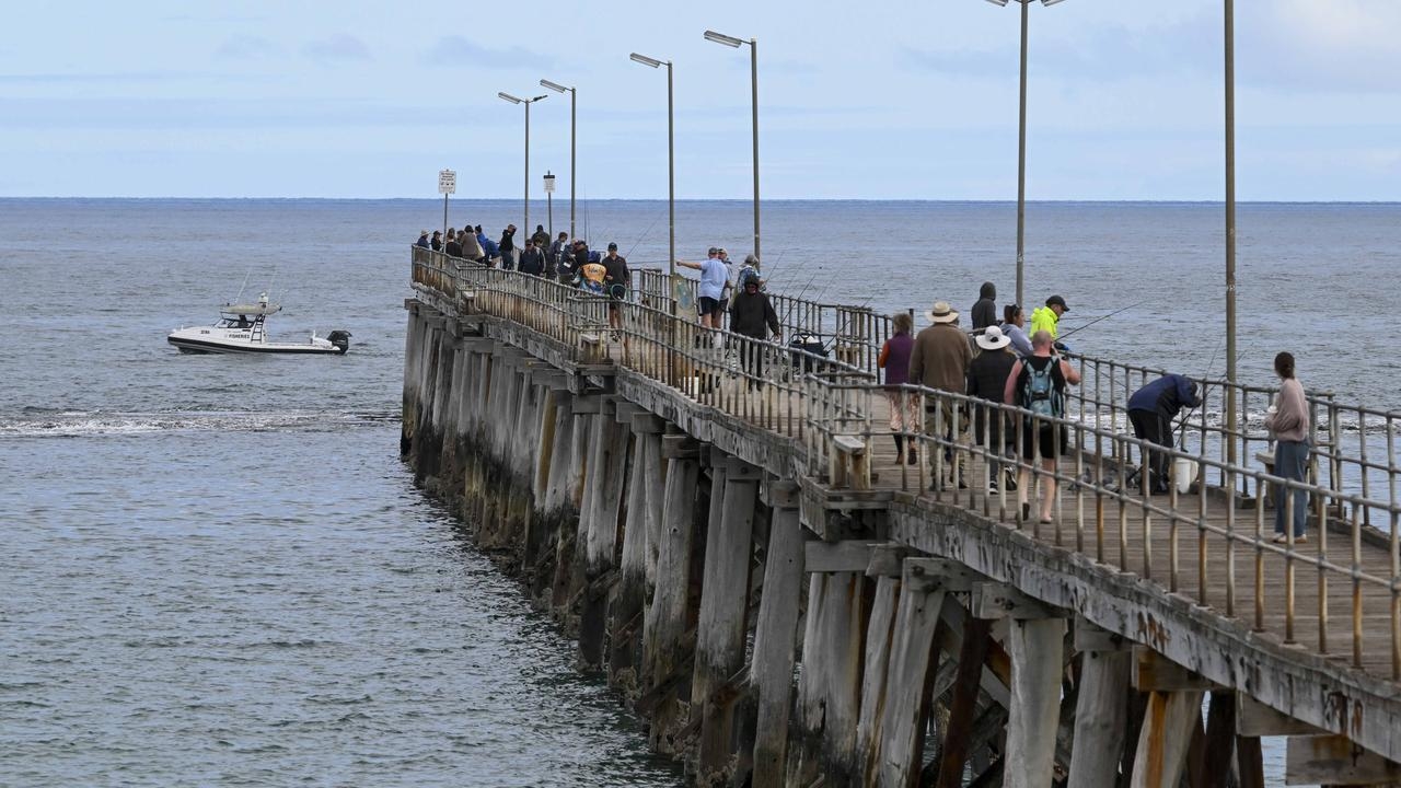 South Australian Police warns of 3m shark at Noarlunga Jetty days after attack on Richard Vinall