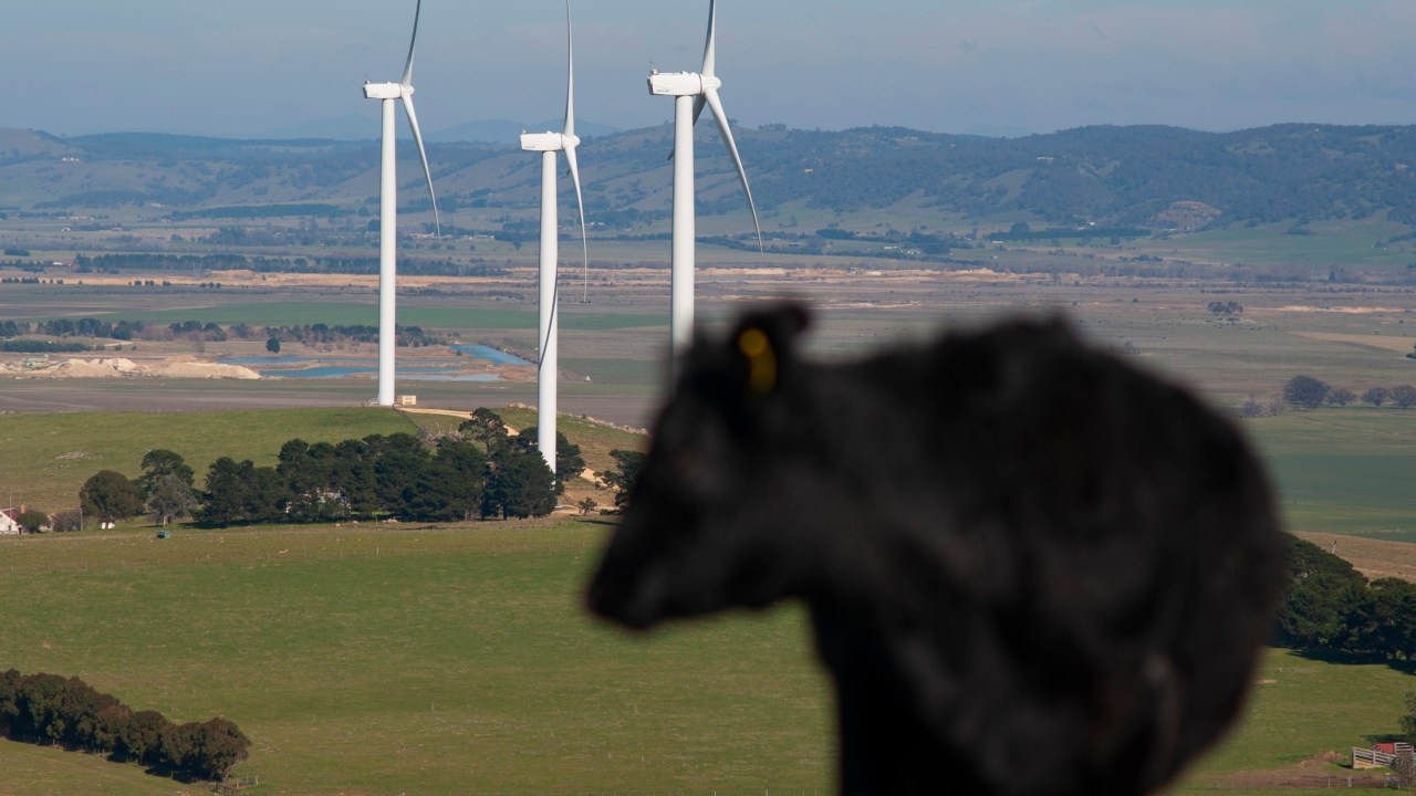 ‘Can't get a fair go': Beef farmer rails against NSW government pressure to seize more land for renewables projects