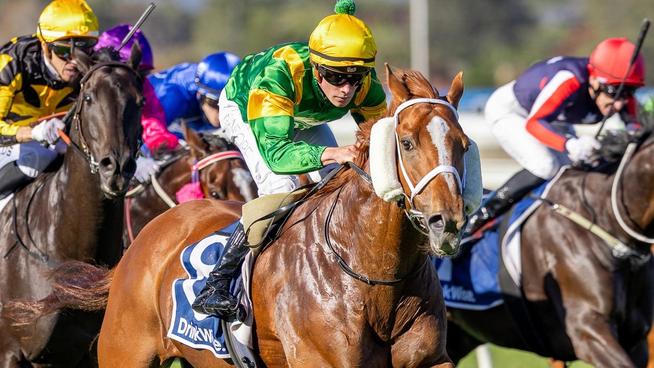 In-form gelding Regal Azmon defies Arran Bay again to win Group 3 Cummings Stakes at Morphettville