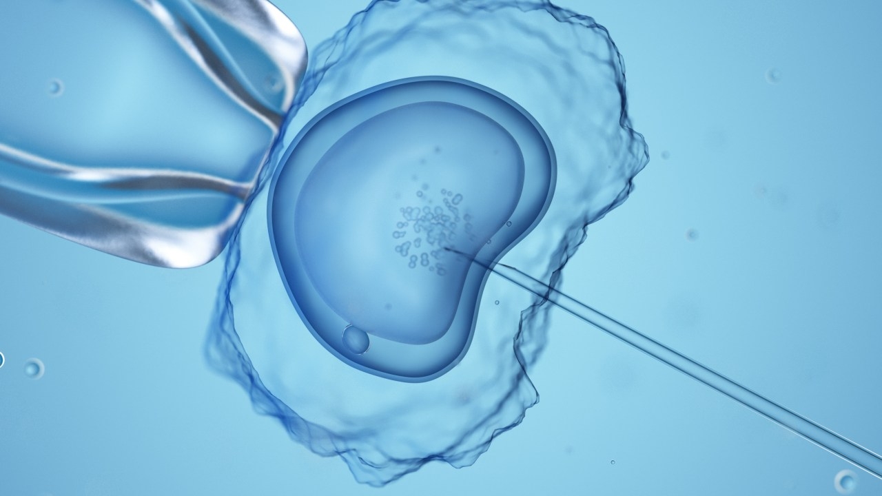 Monash IVF reveals second embryo mix-up after admitting to major accident just months earlier