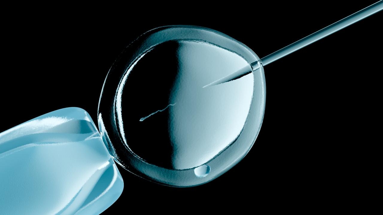 ‘Don't think it's a good thing': IVF gender selection debate rages