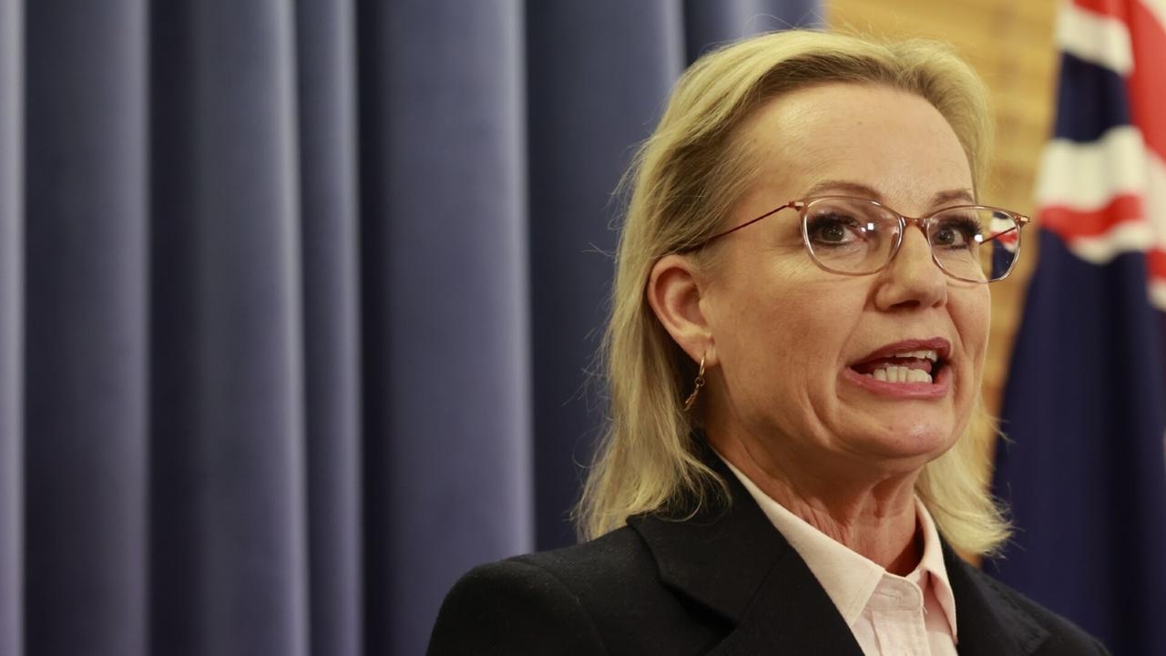 Sussan Ley is ‘unusual' because Australians ‘don't know a lot about her'