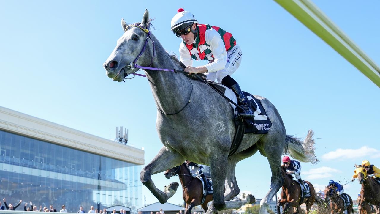 Luck of the Irish? Jockey John Allen chases fifth South Australian Derby with Statuario