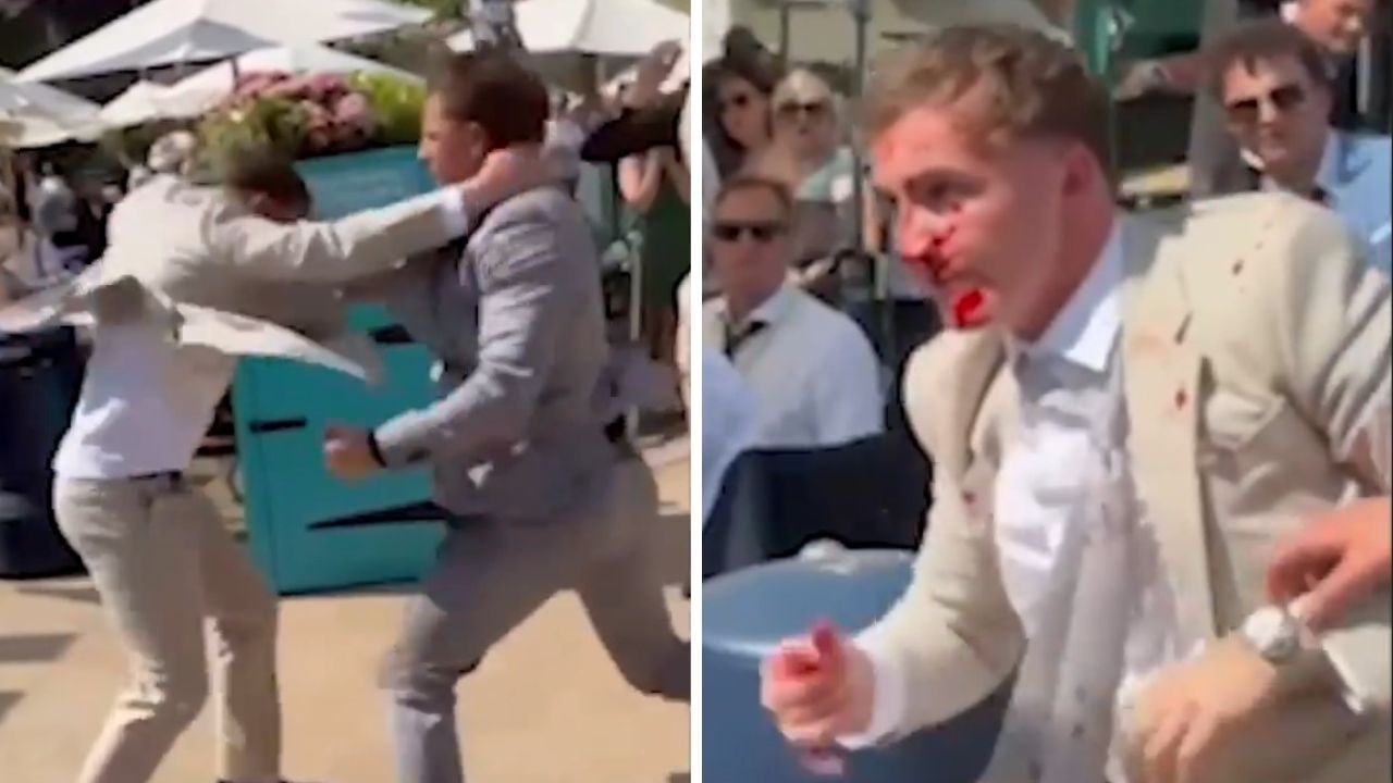 Royal Ascot racegoers hurl punches in vicious brawl