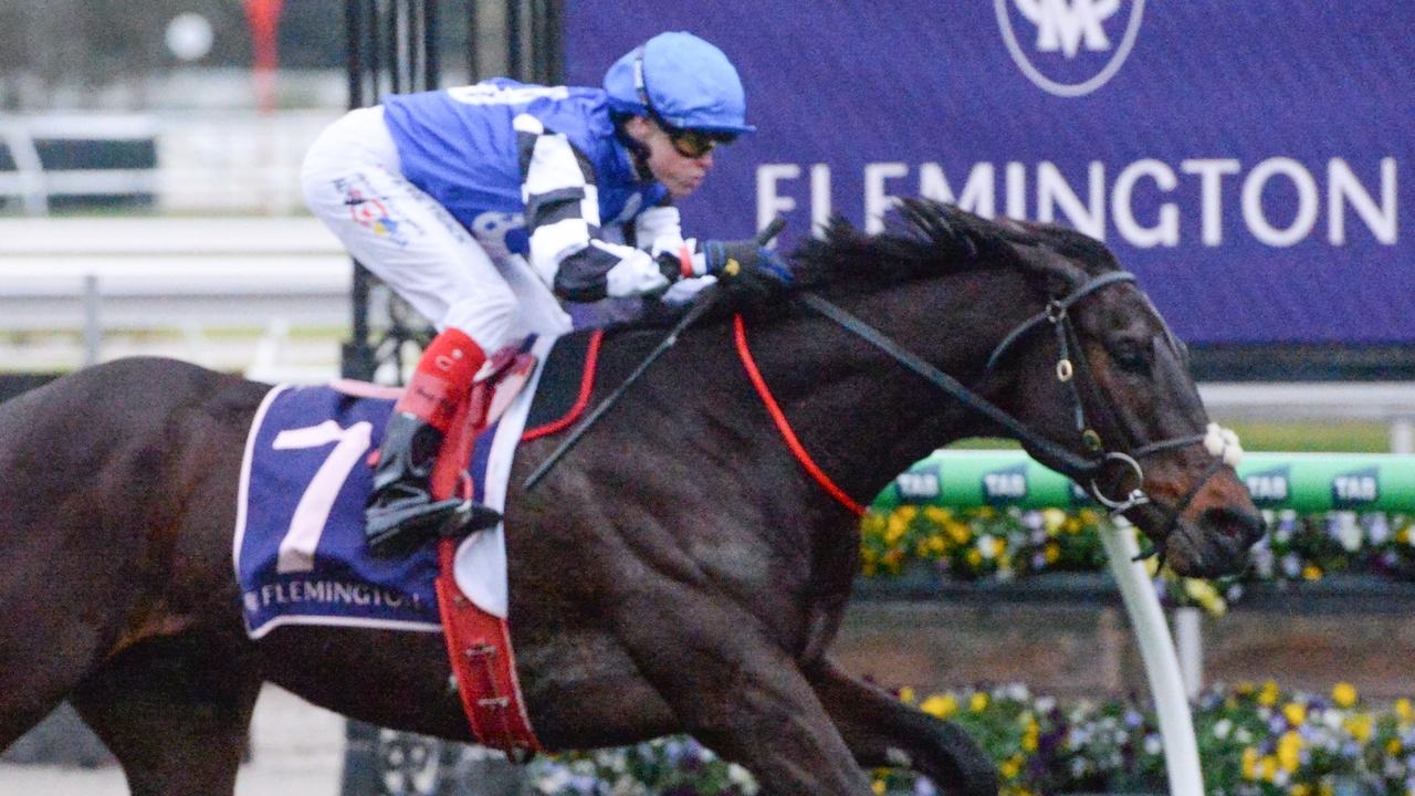 Ciaron Maher stayer Sayedaty Sadaty takes next step towards Caulfield Cup redemption at The Valley