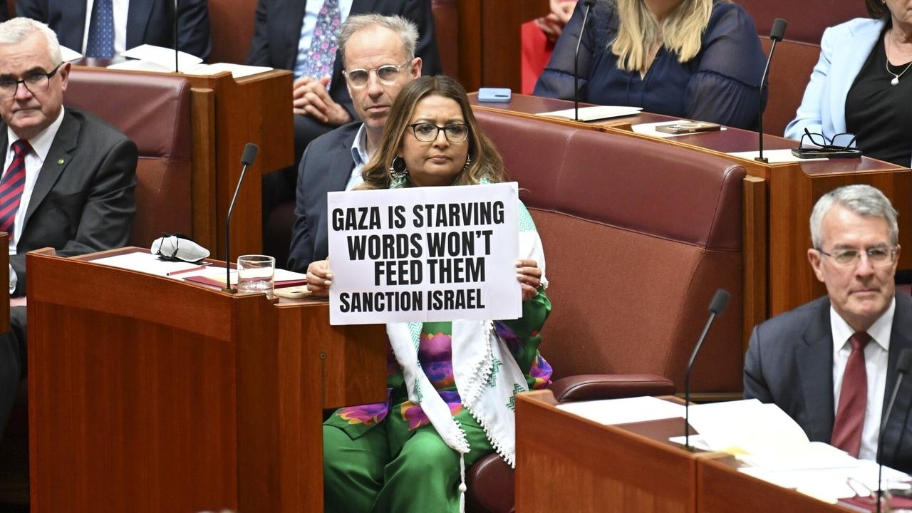 Mehreen Faruqi's anti-Israel act which ‘hijacked' the Senate was ‘disgraceful'