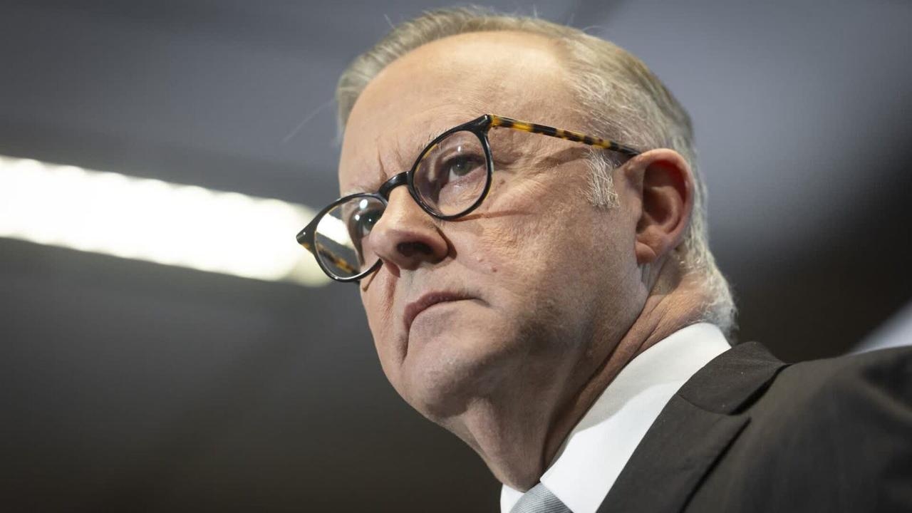 Anthony Albanese ‘shames and imperils' Australia with Palestine recognition decision