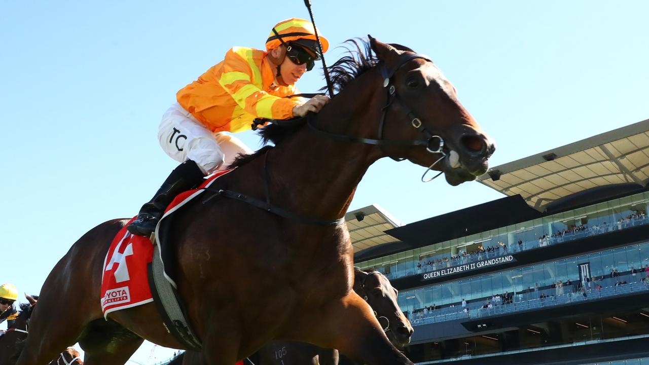 Adrian Bott doubts whether Gai Waterhouse will be up in the early hours of the morning in the US to watch Shangri La Spring in the Queensland Guineas