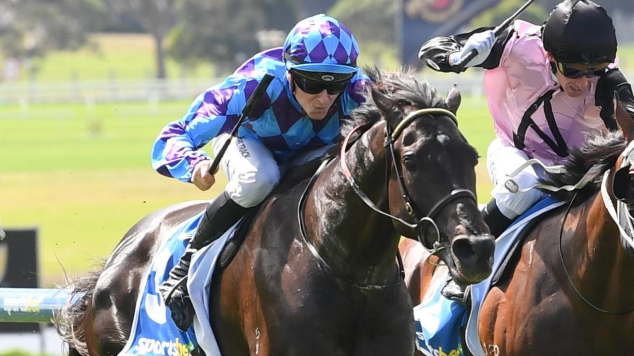 Queensland Derby second emergency The Muffin Man gains start for Pakenham trainer Charlotte Littlefield