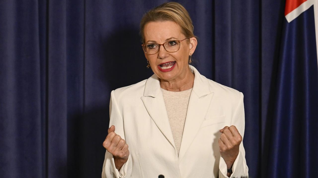 Sussan Ley has not ‘put a foot wrong' in Coalition dispute